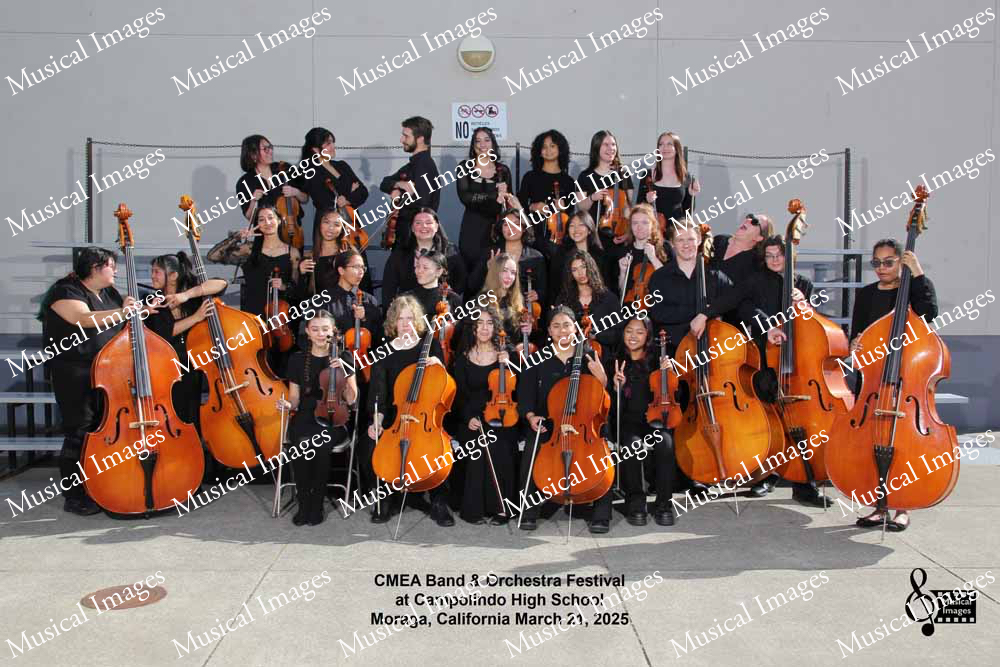 Musical Images